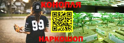 spice Кимры