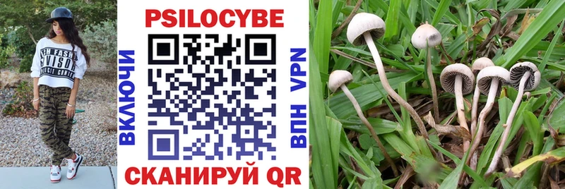 Псилоцибиновые грибы Cubensis  блэк спрут зеркало  Чистополь 