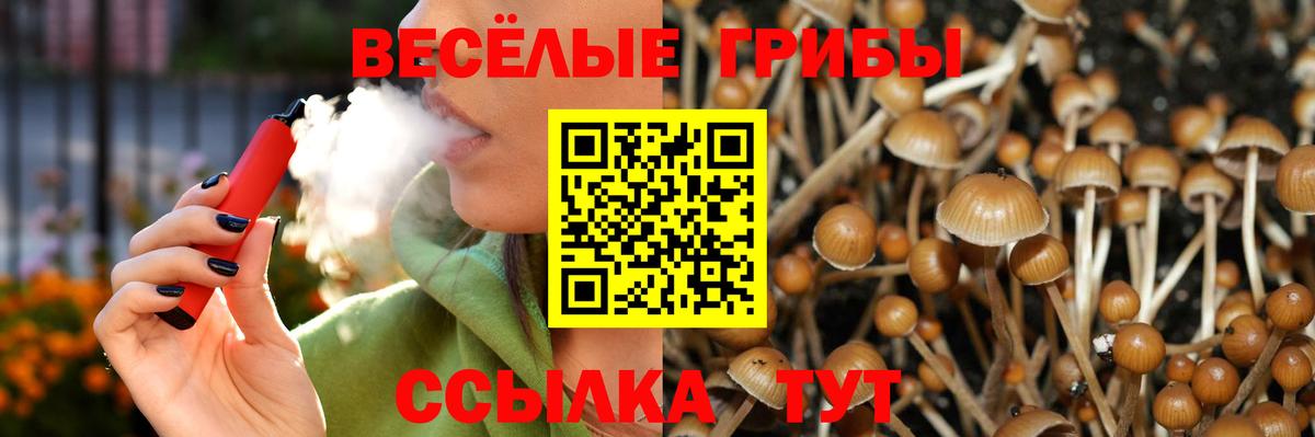 Псилоцибиновые грибы мухоморы  Вход с VPN  Чистополь 